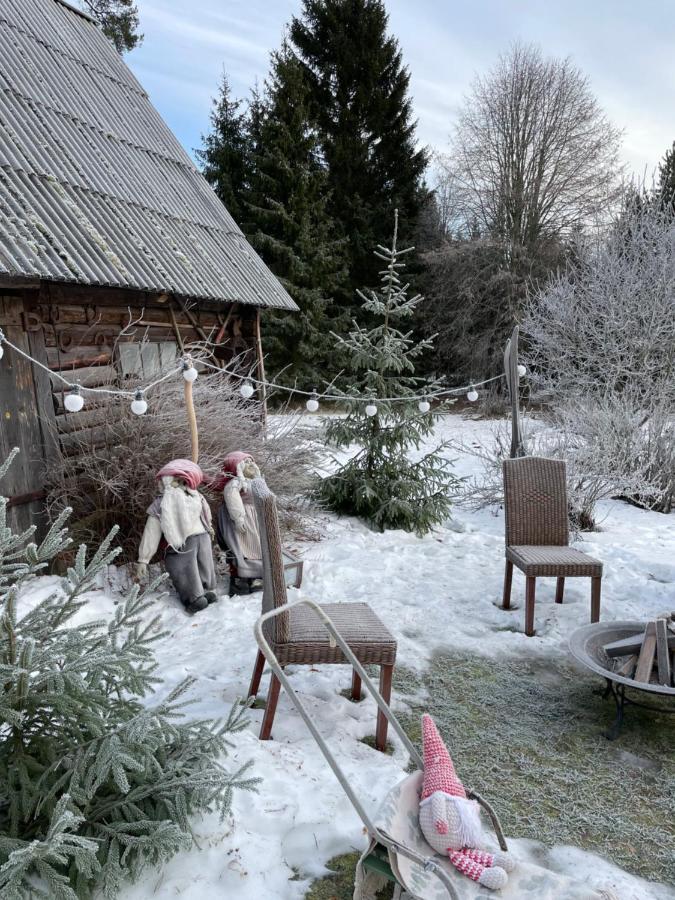 Villa Kaeaenu Puhkemaja Rakvere Exterior foto